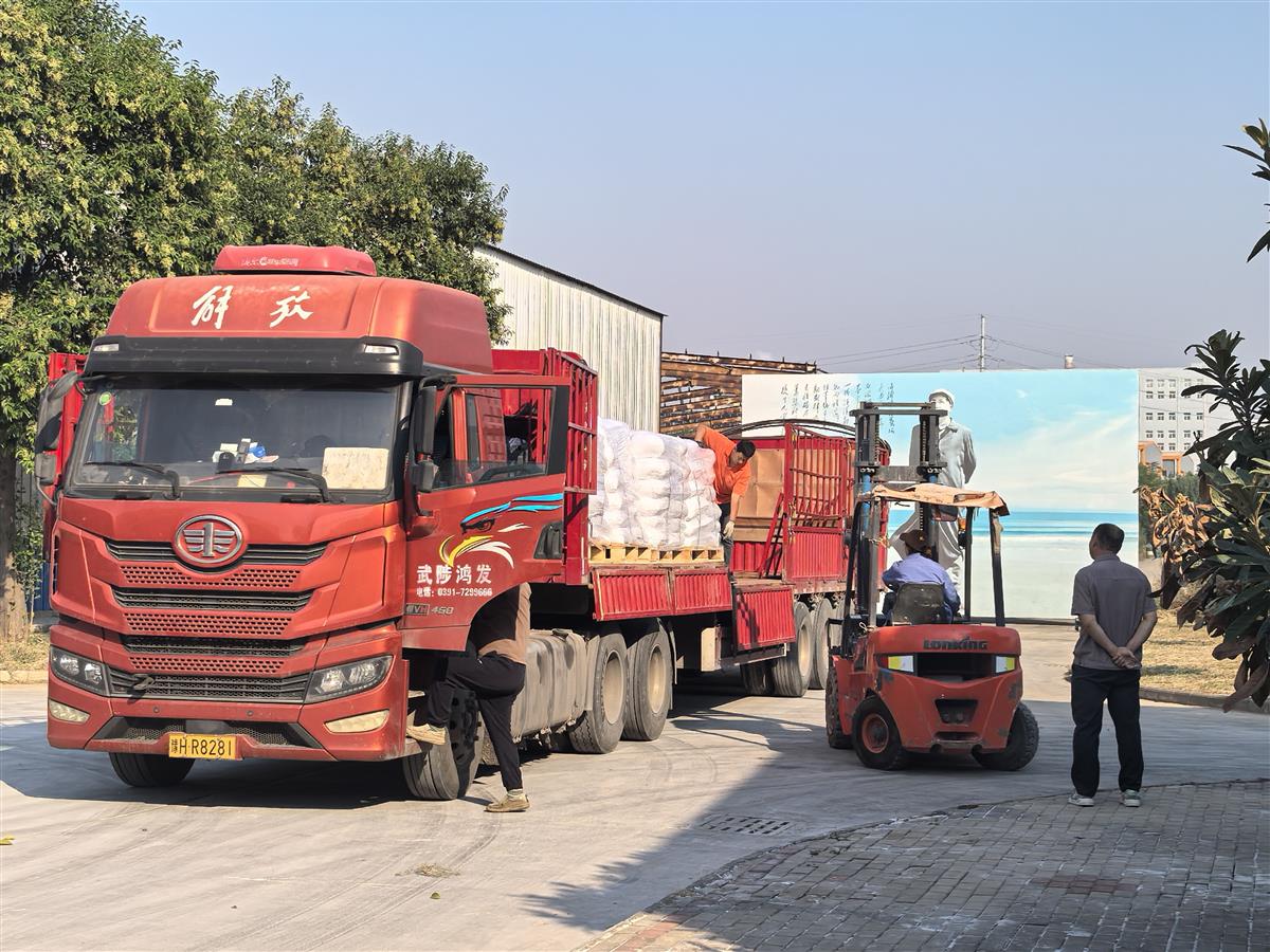 Forklift loading pallets into container